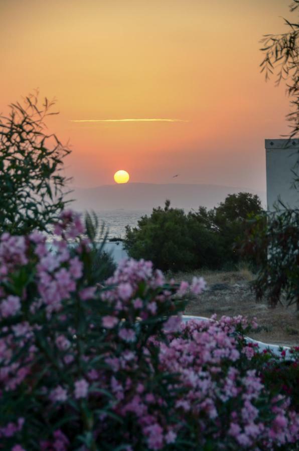 Sea & Wind Διαμέρισμα Μικρή Βίγλα Εξωτερικό φωτογραφία